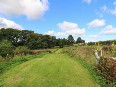 A grassy pathway surrounded by bushes trees and a fence under a blue sky at The Pavillion in Kirklinton near Longtown