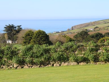 A grassy lawn with a stone wall and bushes with trees and hills in the background overlooking the sea at Greenside Studio in Praa Sands