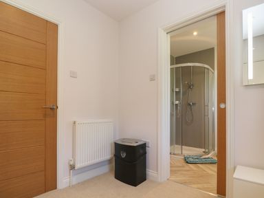 A corner with a wooden door radiator and a black bin next to a bathroom with a glass shower enclosure at Greenside Studio in Praa Sands