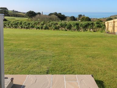 A grassy lawn with a hedge and trees in the background overlooking the sea at Greenside Studio in Praa Sands
