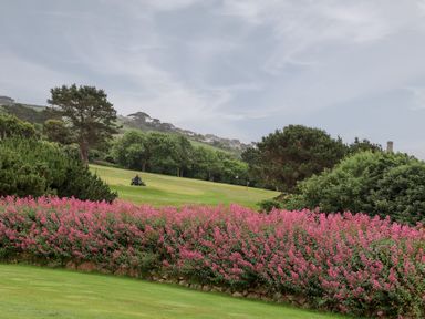 A landscape with flowers and trees at Greenside Studio Praa Sands