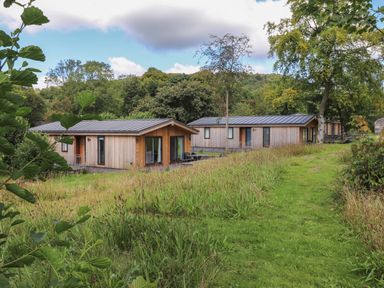 Two wooden cabins with metal roofs in a grassy area with trees at The Beeches in Haverthwaite
