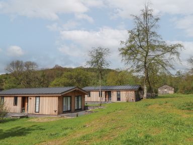 Two wooden houses with black roofs on a grassy hill with trees in the background at The Yews in Haverthwaite