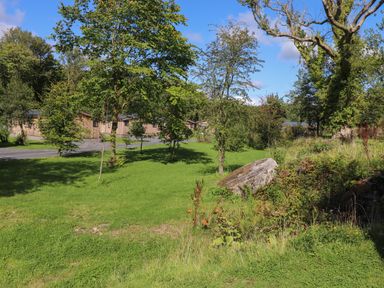 A grassy area with scattered trees and wooden buildings in the background at Hawthorn Croft in Haverthwaite