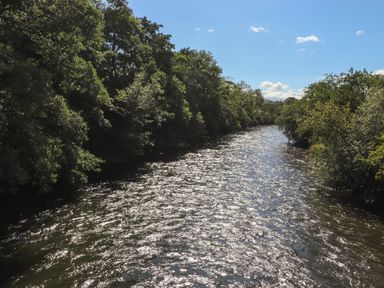 A river flowing between trees on both sides under a blue sky at Hawthorn Croft in Haverthwaite