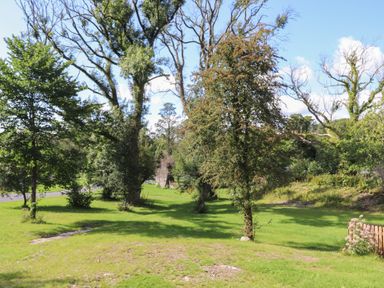 An outdoor area with trees grass and a wooden fence at Hawthorn Croft in Haverthwaite