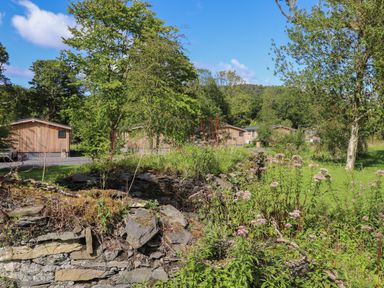 A garden with trees flowers and stone walls with wooden cabins in the background at Ash Thwaite in Haverthwaite
