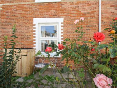 A garden with rose bushes a metal bench and a wooden storage box outside a brick house with a white framed window at The Corner House in Weymouth