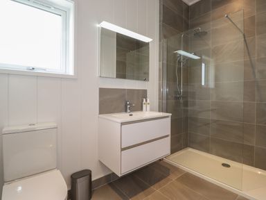 A bathroom with a toilet sink with vanity mirror and a walk in shower at The Brambles in Haverthwaite