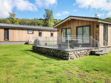 A grassy yard with two modern wooden cabins and a small patio with metal railing at The Brambles in Haverthwaite