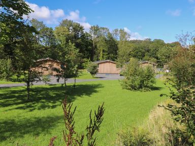 A grassy area with small trees and shrubs and wooden buildings in the background at The Brambles in Haverthwaite