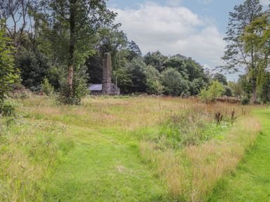 A grassy field with wild plants and trees with a stone building and tall chimney in the background at The Brambles in Haverthwaite