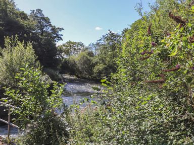 A river surrounded by trees and dense green bushes under a clear sky at The Burrow in Haverthwaite