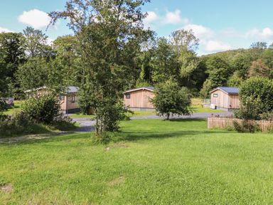 Three small wooden cabins surrounded by trees and grass at The Burrow in Haverthwaite