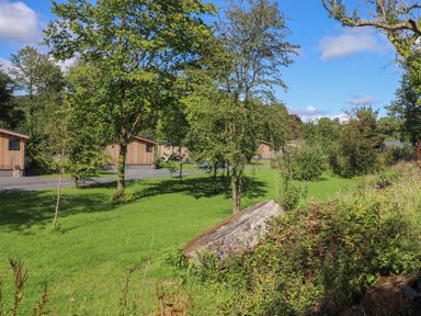 A grassy outdoor area with trees and wooden cabins in the background at The Burrow in Haverthwaite