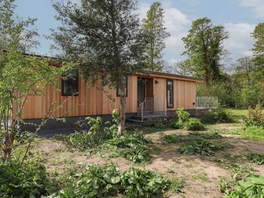 The exterior of a wooden house surrounded by trees and plants at Blackthorn Copse in Haverthwaite