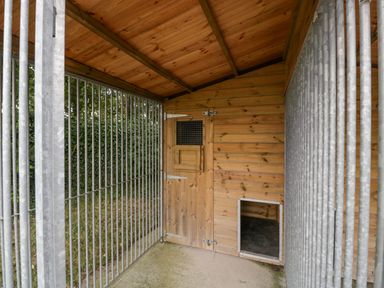 An outdoor wooden dog kennel with a metal gate and enclosed area at The Byre in St Brides Major