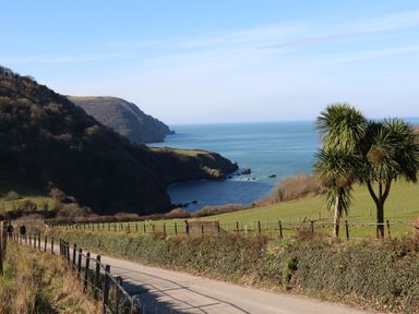 A coastal landscape with a road, fenced green fields, trees, and ocean cliffs at Chalet Log Cabin L2 in Combe Martin