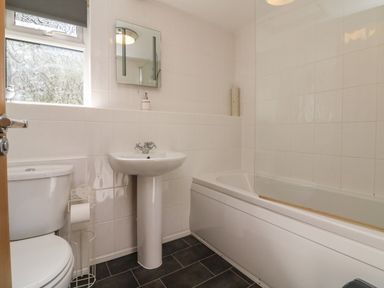 A bathroom with a toilet sink bathtub and a window at Chalet Log Cabin C11 in Combe Martin