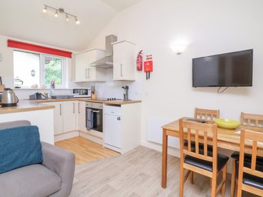 A kitchen and dining area with a wooden dining table and chairs a mounted TV and kitchen appliances at Chalet Log Cabin C8 in Combe Martin