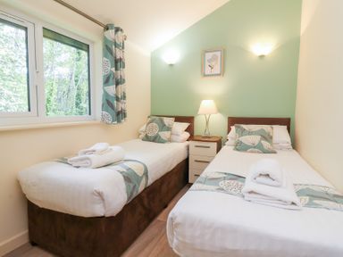 A bedroom with two single beds bedside table lamp and a window at Chalet Log Cabin C8 in Combe Martin