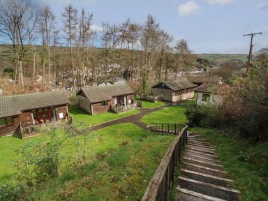 Wooden holiday cottages with lawns and a descending wooden stairway in a rural area at Chalet Log Cabin C9 in Combe Martin