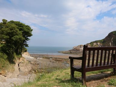 A bench overlooking a rocky beach and ocean with trees and cliffs in the background at Chalet Log Cabin C9 in Combe Martin