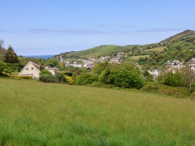 A green grassy field with houses and trees under blue sky at Chalet Log Cabin C9 in Combe Martin