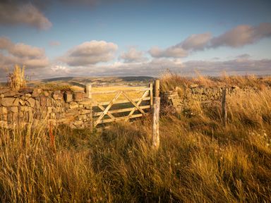 A gate in a stone wall with grass and hills in the background at 9 Manleigh Park Combe Martin