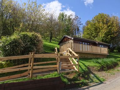 A wooden cabin with a deck and railing surrounded by grass and trees at Chalet Log Cabin L10 in Combe Martin
