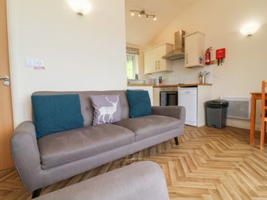 A living area with a grey sofa with cushions next to a kitchen with white cabinets and appliances at Chalet Log Cabin L14 in Combe Martin