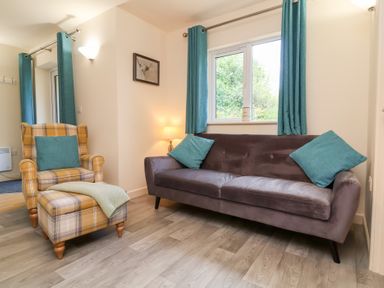A sitting area with a sofa and armchair with matching footstool and teal cushions at Larchwood Lodge in Combe Martin