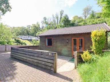 A wooden cabin with a fenced front yard and paved driveway surrounded by trees at Chalet Lodge Bunks L1 in Combe Martin