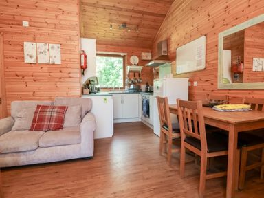A small living area with a sofa a kitchen with appliances and a dining table with chairs in a wooden cabin at Chalet Lodge Bunks L1 Combe Martin