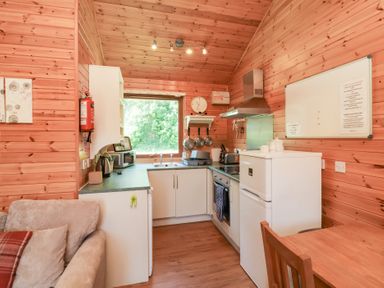 A kitchen area with a refrigerator, oven, sink, stove, and wooden walls at Chalet Lodge Bunks L1 in Combe Martin