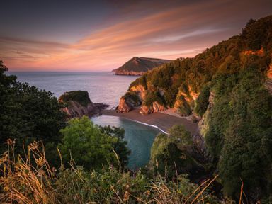 A coastline with trees and a beach at 1 Manleigh Park in Combe Martin
