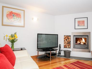 A living room with a white sofa with red cushions a television on a black stand a fireplace and a flower vase at Great Brightor Cob Barn in St Kew Highway