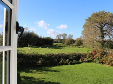 A view of a green field with sheep trees and bushes seen through an open window at Old Post Office Sherborne