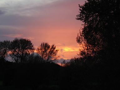 A sunset with orange and purple sky behind silhouettes of trees at Old Post Office Sherborne