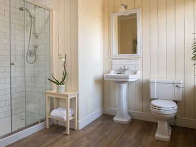 A bathroom with a shower cubicle a wooden side table with a plant and towels a pedestal sink with a mirror and a toilet at Flagstaff in Penmon near Beaumaris