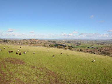 A grassy field with sheep grazing and hills in the background at Bickle Bice Cottage in Minions near Liskeard
