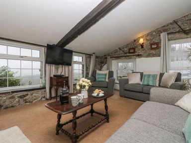 A sitting room with sofas a wooden coffee table with mugs and a teapot and a wall mounted television at Bickle Bice Cottage in Minions near Liskeard