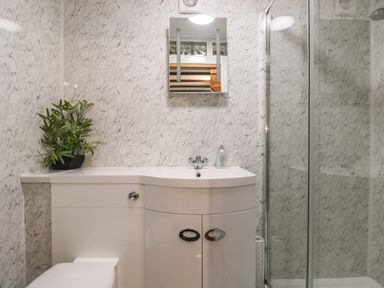 A bathroom with a white sink cabinet a toilet a shower with glass doors a mirror and a plant on the countertop at Cheesewring Cottage in Minions near Upton Cross