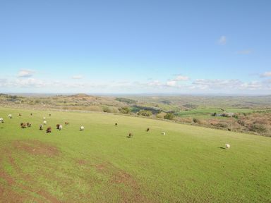 A green pasture with sheep grazing and a view of rolling hills and farmland at Fizz-Gog Cottage in Minions near Upton Cross