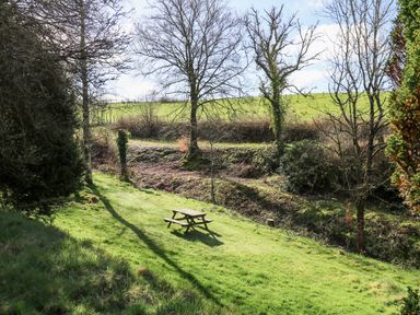 A grassy area with a wooden picnic table and trees with a field in the background at The Cheese Loft White Mill near Carmarthen