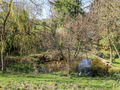 A small pond surrounded by trees and grass at The Cheese Loft in White Mill near Carmarthen