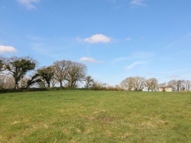 A grassy field with trees and a small shed under a blue sky at Tawny in Morchard Bishop