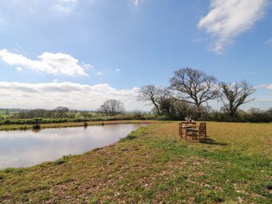 A pond with wooden table and chairs on a grassy area near trees at Tawny in Morchard Bishop