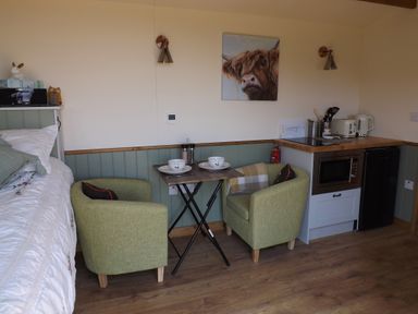 A small dining area with two green chairs and a foldable table set with bowls and plates next to a kitchenette and a bed at Tawny in Morchard Bishop
