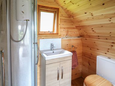 A bathroom with wooden walls a shower a sink with cabinet a window and a toilet at Pine Lodge in Llanddeusant near Llandovery